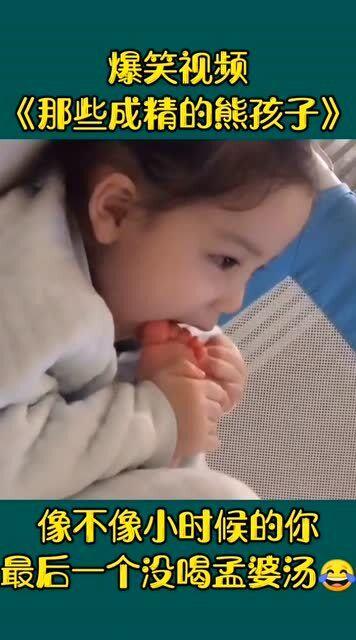 搞笑熊孩子爆料视频,家中“灾难现场”一幕幕  第1张