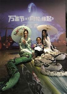 青蛇白蛇爆料视频大全,揭秘经典神话背后的故事 第1张 青蛇白蛇爆料视频大全,揭秘经典神话背后的故事 第1张