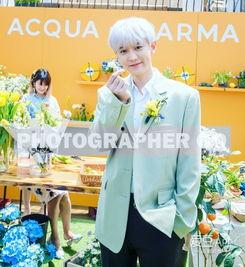 灿烈姐姐爆料了吗视频播放,揭秘娱乐圈幕后故事